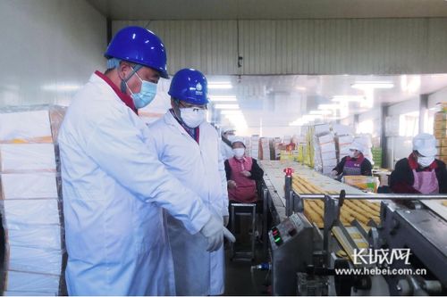 石家莊供電公司暖心服務(wù)扶貧微工廠 信息咨詢服務(wù)助力鄉(xiāng)村發(fā)展